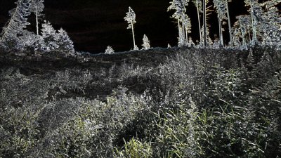Unbekanntes Bild von Unbekannt Unbekannt